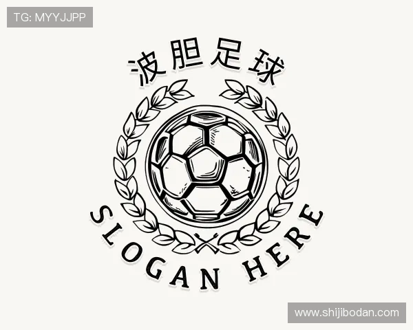 介绍波胆